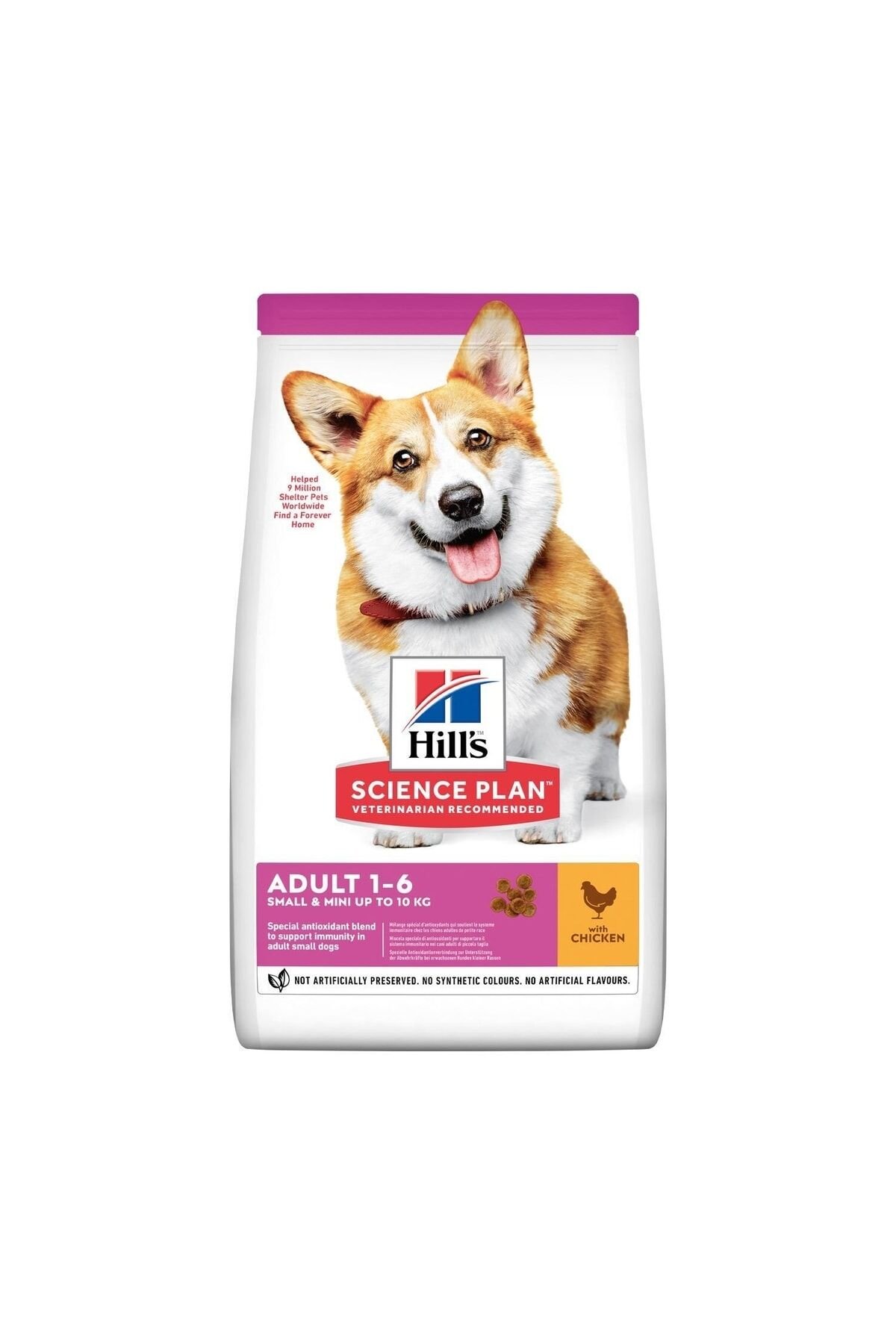 Hill's SP Tavuklu Küçük ve Mini Irk Yetişkin Köpek Maması 6KG