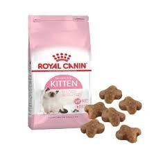 Royal Canin Kitten Yavru Kedi Maması 2 Kg