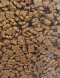 Royal Canin Kitten Yavru Kedi Maması 4 Kg