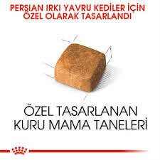 Royal Canin Persian Kitten Yavru İran Kedi Maması 2 Kg