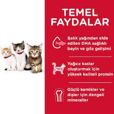 Hill's SP Tavuklu Yavru Kedi Maması 5+2KG