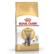 Royal Canin British Shorthair Adult Yetişkin Kedi Maması 2 Kg