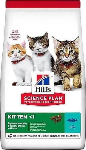 Kedi Mamaları