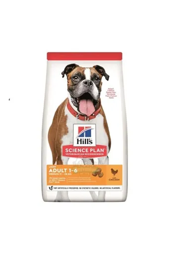 Köpek Mamaları