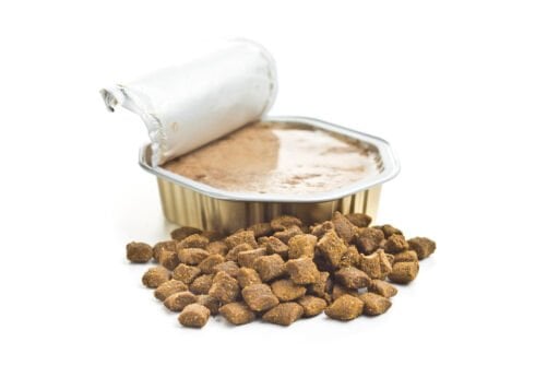 Konserve Köpek Mamaları
