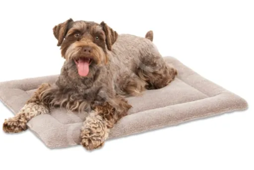 Köpek Yatakları