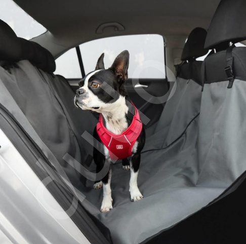 Köpek Seyahat Ürünleri