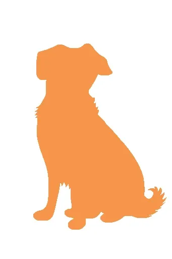 Köpek Ürünleri