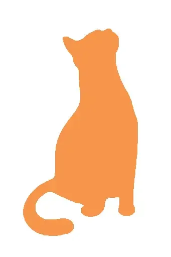 Kedi Ürünleri