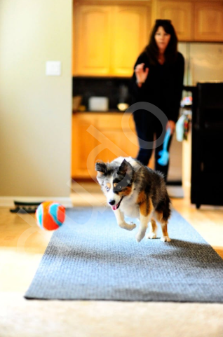 Chuckit! Indoor Ball Eve Özel Yumuşak Oyun Topu