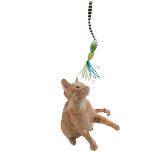 Fat Cat Tadpole Kedi Oltası