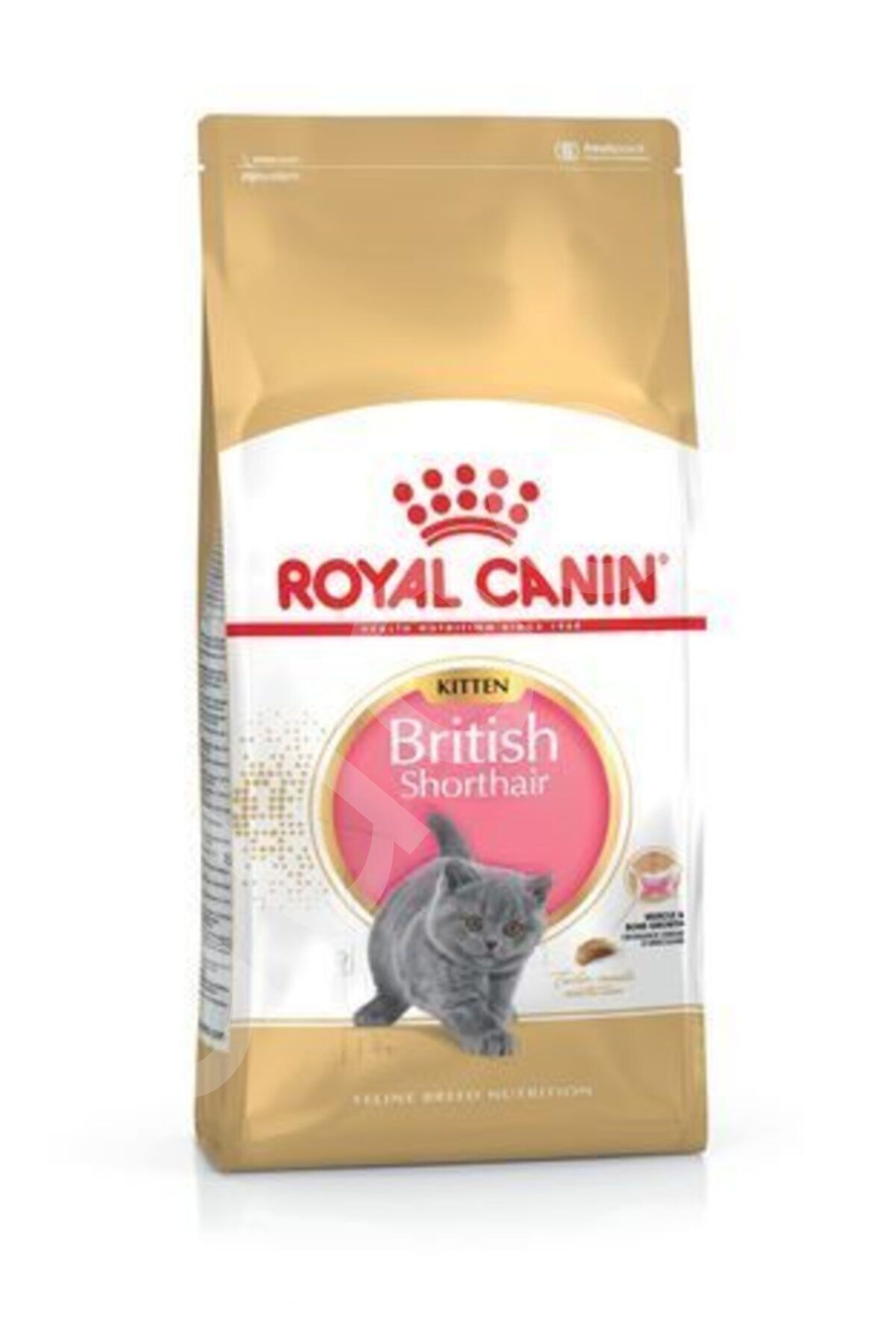 Royal Canin British Shorthair Kitten Yavru Kedi Maması 2 Kg