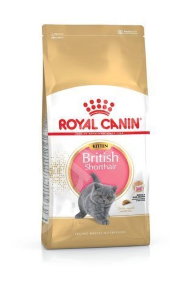 Royal Canin British Shorthair Kitten Yavru Kedi Maması 2 Kg