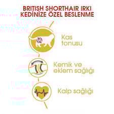 Ürün İsmi İcon