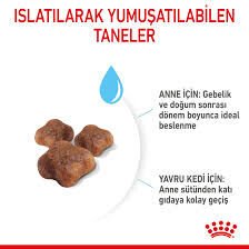 Ürün İsmi İcon