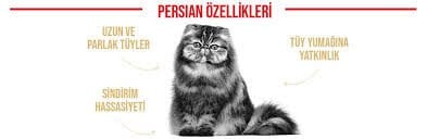 Ürün İsmi İcon