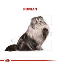 Ürün İsmi İcon