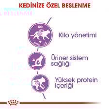 Ürün İsmi İcon