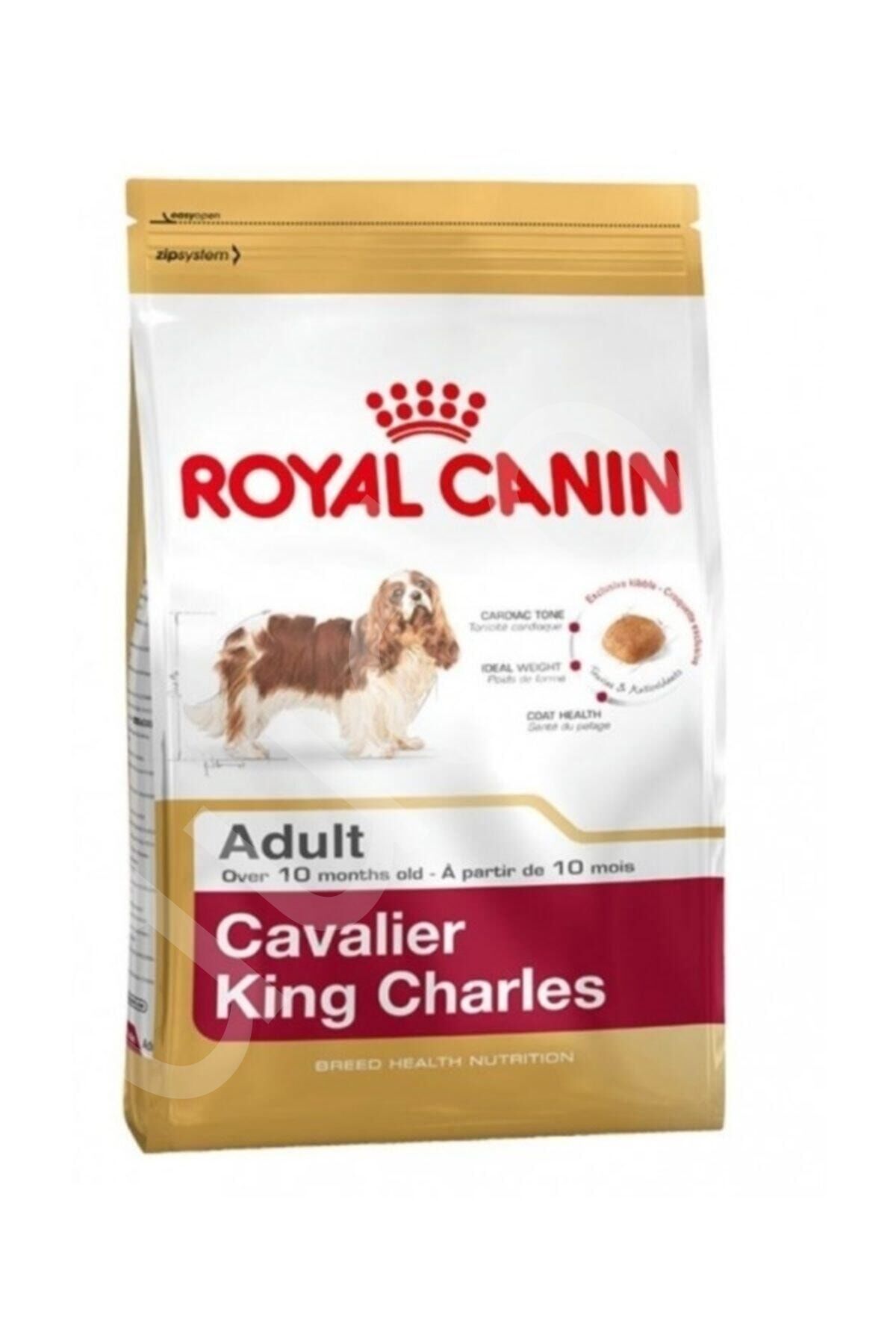 Royal Canin Cavalier King Charles Adult Yetişkin Köpek Maması 3 Kg