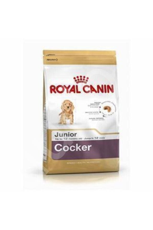 Royal Canin Cocker Junior Puppy Yavru Köpek Maması 3 Kg