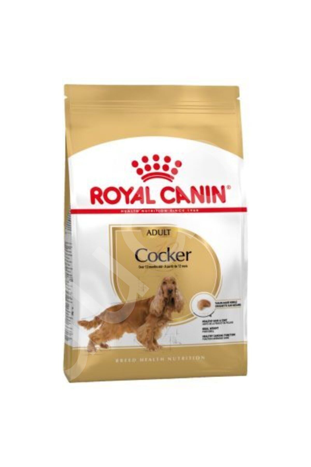 Royal Canin Cocker Adult Yetişkin Köpek Maması 3 Kg