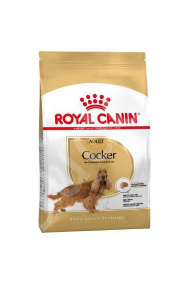 Royal Canin Cocker Adult Yetişkin Köpek Maması 3 Kg