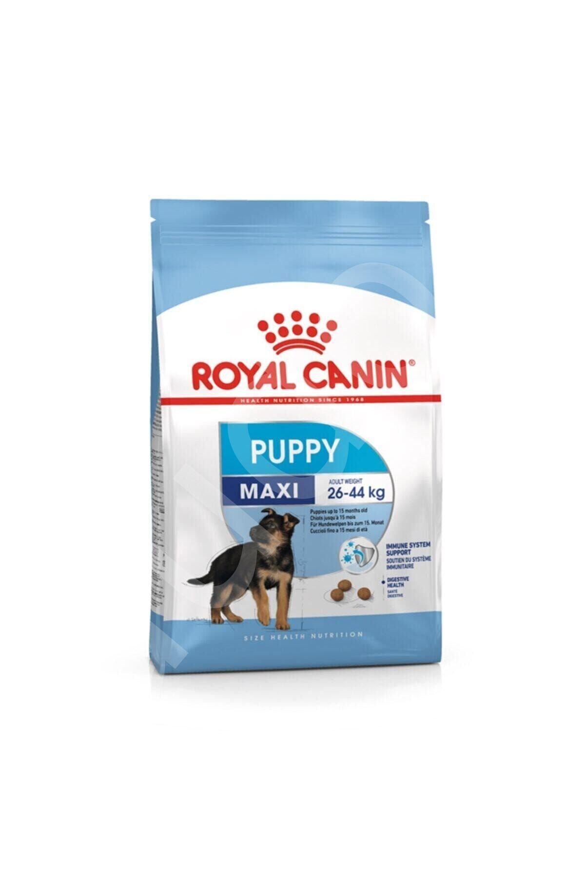 Royal Canin Maxi Puppy Büyük Irk Yavru Köpek Maması 15 Kg