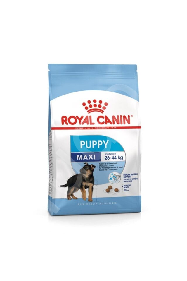 Royal Canin Maxi Puppy Büyük Irk Yavru Köpek Maması 15 Kg