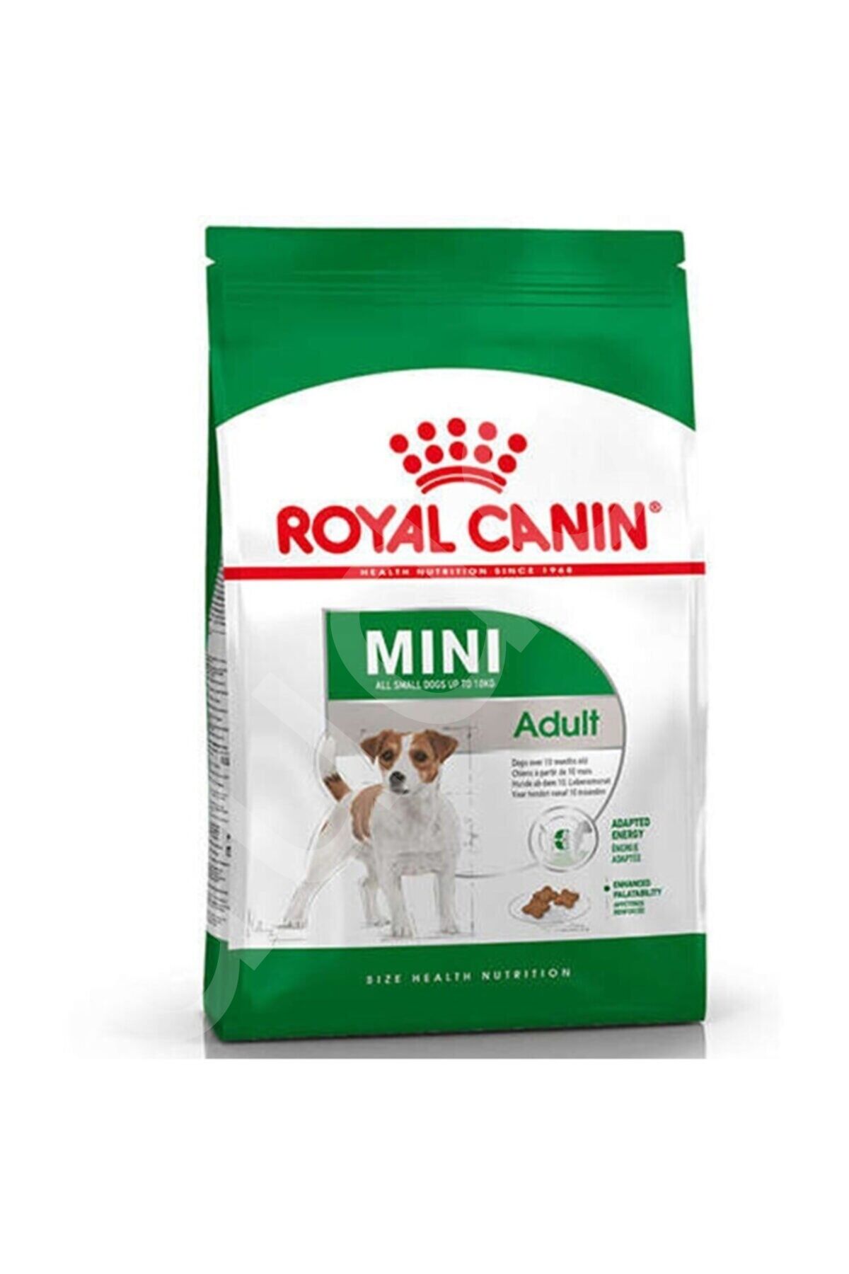 Royal Canin Mini Adult Küçük Irk Yetişkin Köpek Maması 2 Kg