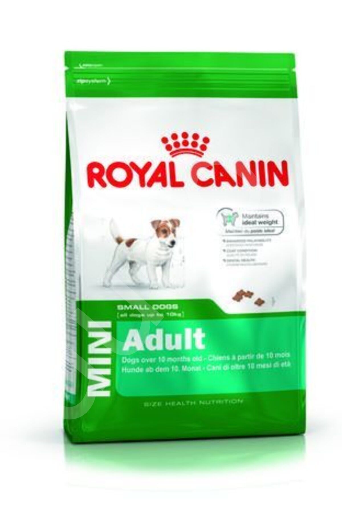 Royal Canin Mini Adult Küçük Irk Yetişkin Köpek Maması 4 Kg