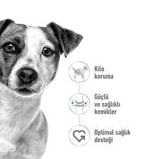 Ürün İsmi İcon