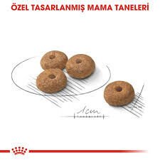 Ürün İsmi İcon