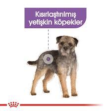 Ürün İsmi İcon