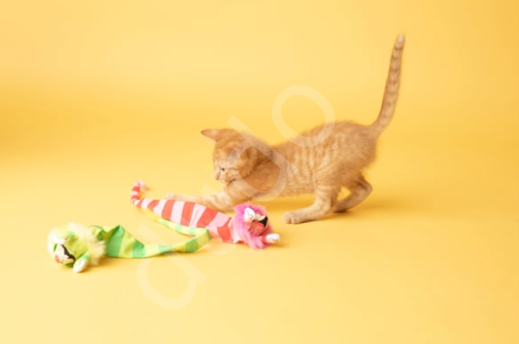 Fat Cat Tailchaser Kedi Otlu Kuyruklu Peluş Kedi Oyuncağı