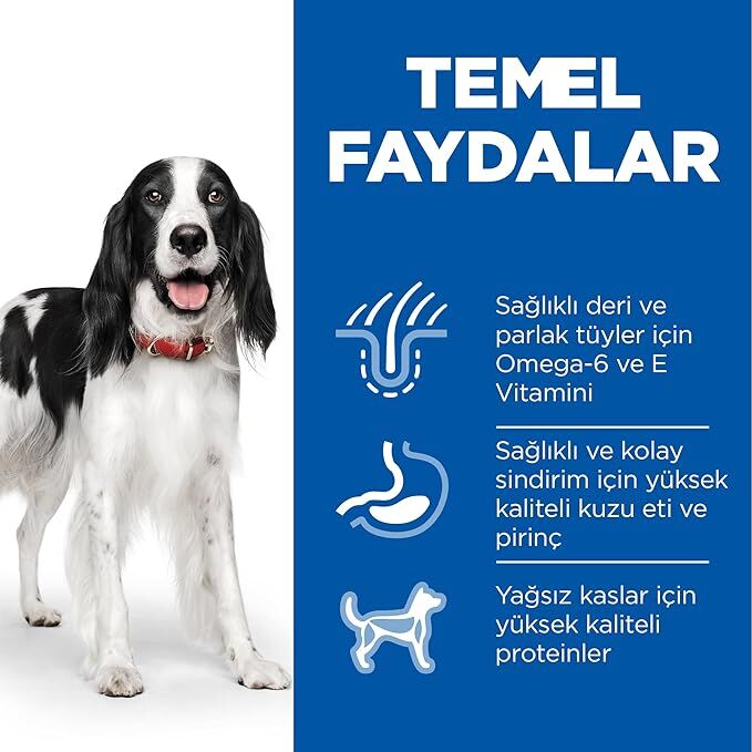 Ürün İsmi İcon