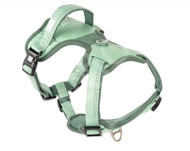 Matrix 2.0 Akıllı Künyeli Sport Köpek Göğüs Tasması - Jade