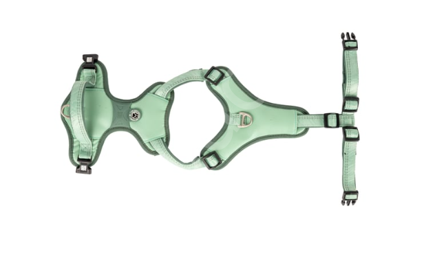 Matrix 2.0 Akıllı Künyeli Sport Köpek Göğüs Tasması - Jade