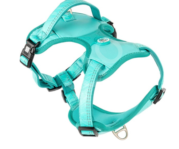 Matrix 2.0 Akıllı Künyeli Sport Köpek Göğüs Tasması - Turkuaz-M