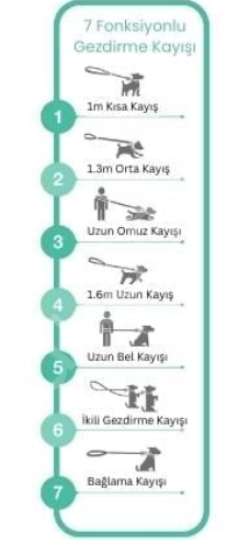 Matrix 2.0 Köpek Gezdirme Kayışı - Turkuaz