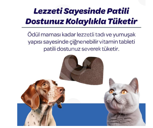 Vet's Plus Hip&Joint Kedi ve Köpekler İçin Eklem Destekleyici Çiğnenebilir Tablet (60'lı)