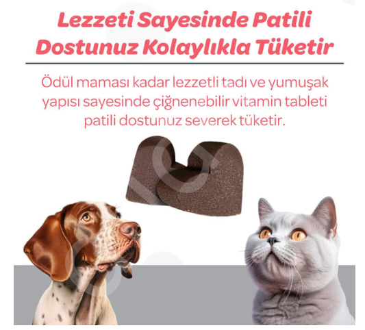 Vet's Plus Senior Yaşlı Kedi ve Köpekler İçin İnülin ve Glukozaminli Çiğnenebilir Tablet (60'lı)