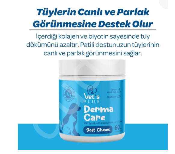 Vet's Plus Derma Care Kedi ve Köpekler İçin Deri ve Tüy Yapısı Destekleyici Çiğnenebilir Tablet (60'lı)