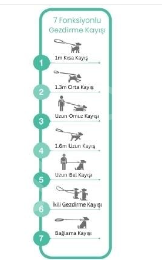 Matrix 2.0 Çok Fonksiyonlu Köpek Gezdirme Kayışı - Rose