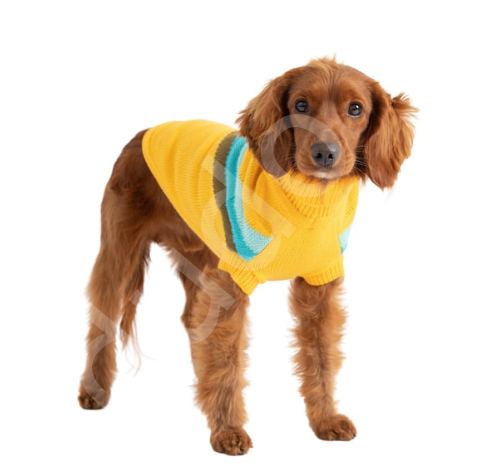 GF PET Alpine Köpek Süveteri - Sarı-L