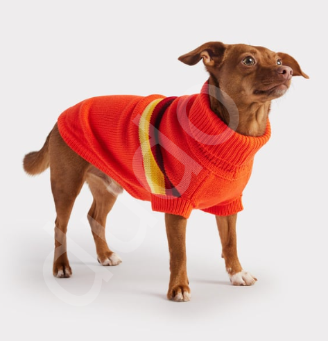 GF PET Retro Köpek Süveteri - Turuncu-L