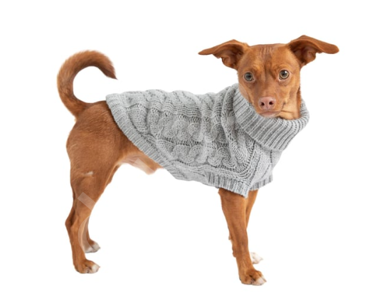 GF PET Chalet Köpek Süveteri - Gri-XS