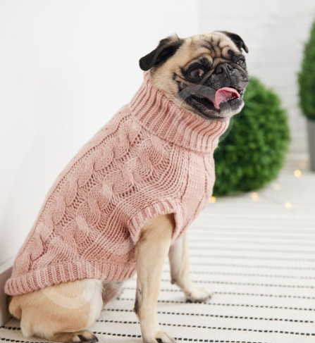 GF PET Chalet Köpek Süveteri - Pembe