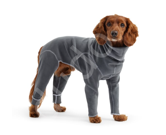 GF PET Gondola Köpek Tulumu