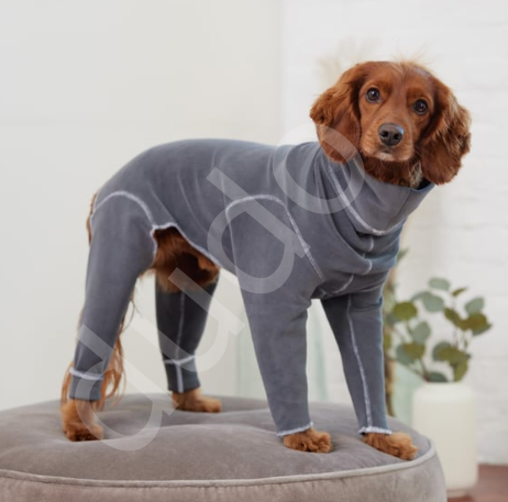 GF PET Gondola Köpek Tulumu