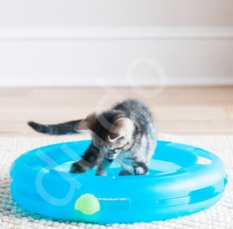 Fat Cat Crazy Circle Kedi Oyuncağı